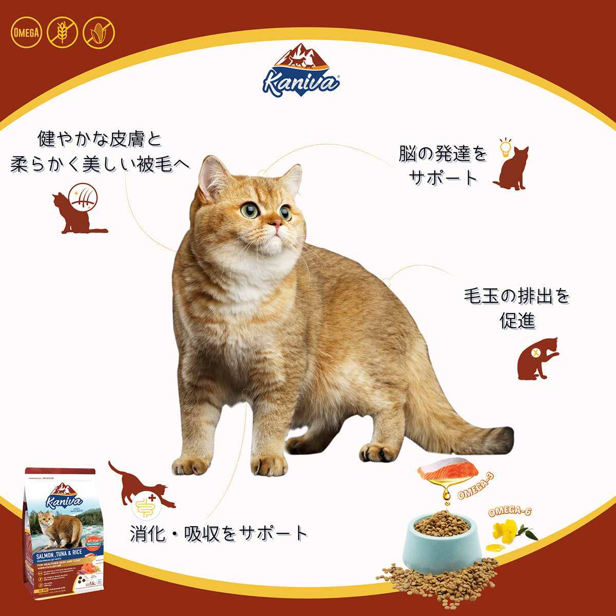 Kaniva カニワ サーモン ツナ＆ライス キャットフード 1.4kg