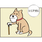 キンペックス KINPEX ふきとりワン ペットボディタオル