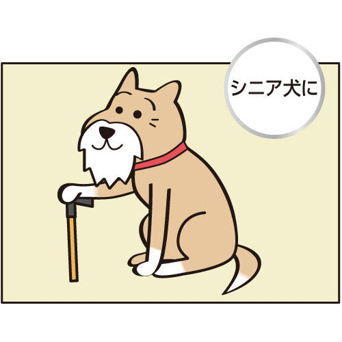 キンペックス KINPEX ふきとりワン ペットボディタオル