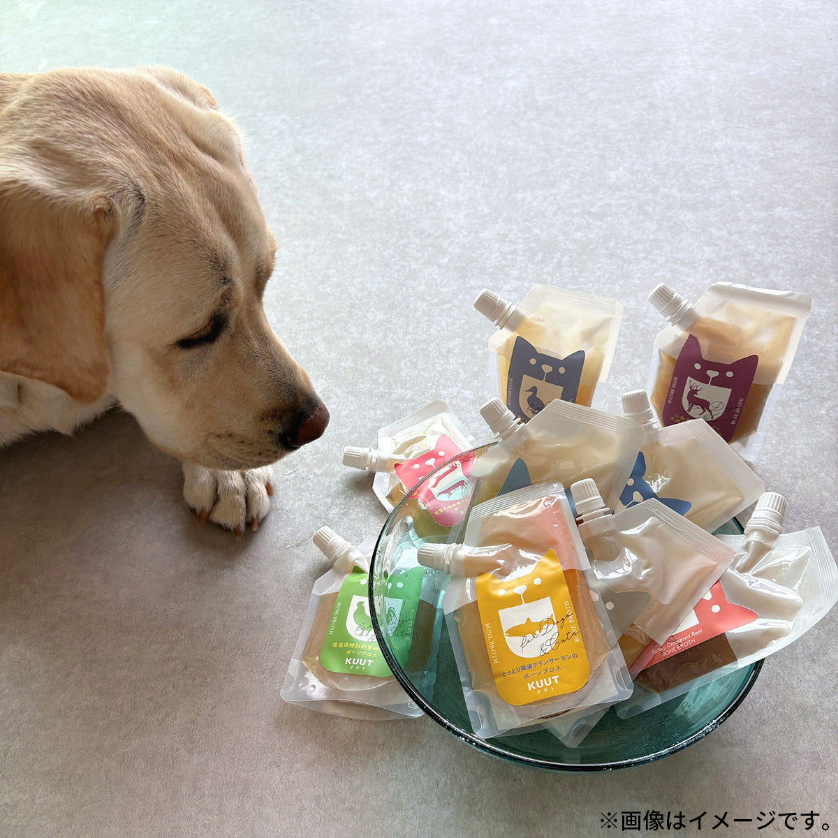 クウト KUUT ボーンブロス しまうら真鯛 スープ 120g