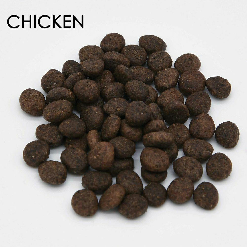 グレンコ GLENCO ドッグフード ナチュール グレインフリー 成犬用 チキン 小粒 100g