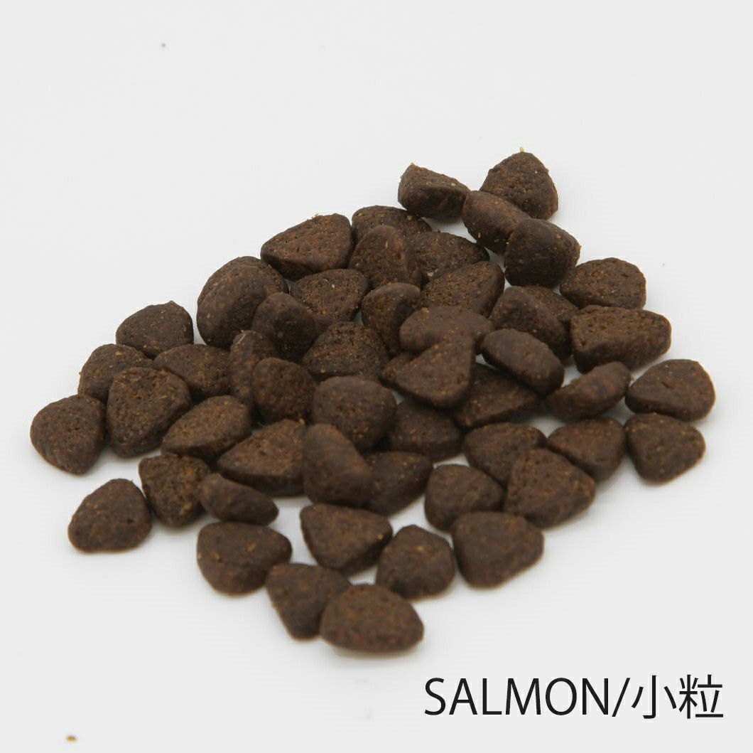 グレンコ GLENCO ドッグフード スペシャルレシピ グレインフリー 成犬用 スコティッシュサーモン 小粒 100g