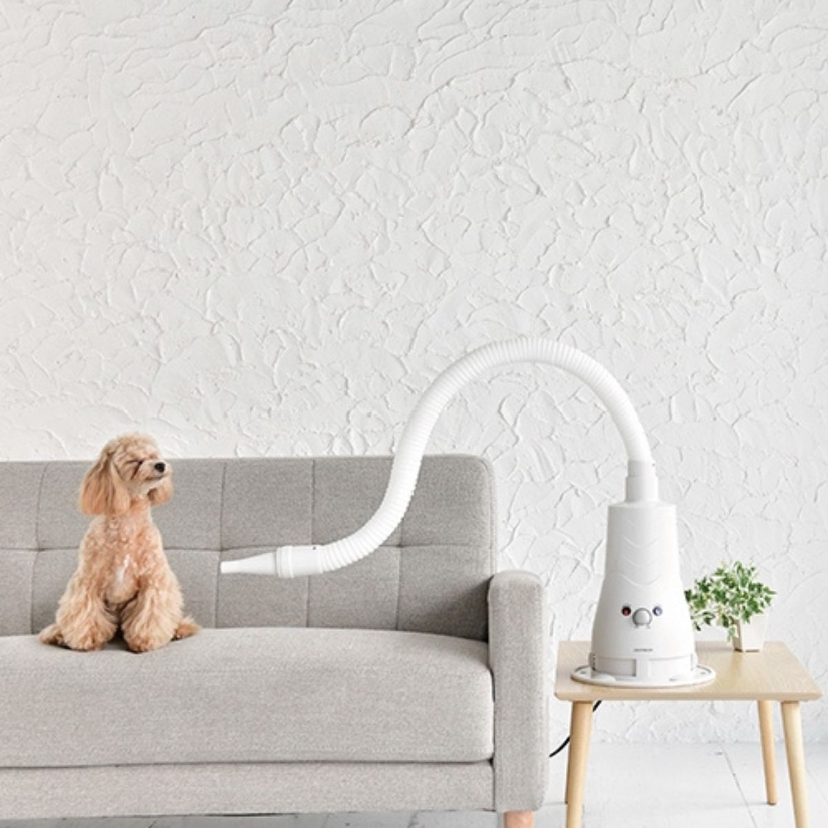 ルーヴドー ペット LOUVREDO PET 復元ドライヤーPET ホワイト