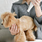 ルーヴドー ペット LOUVREDO PET 復元ドライヤーPET ホワイト