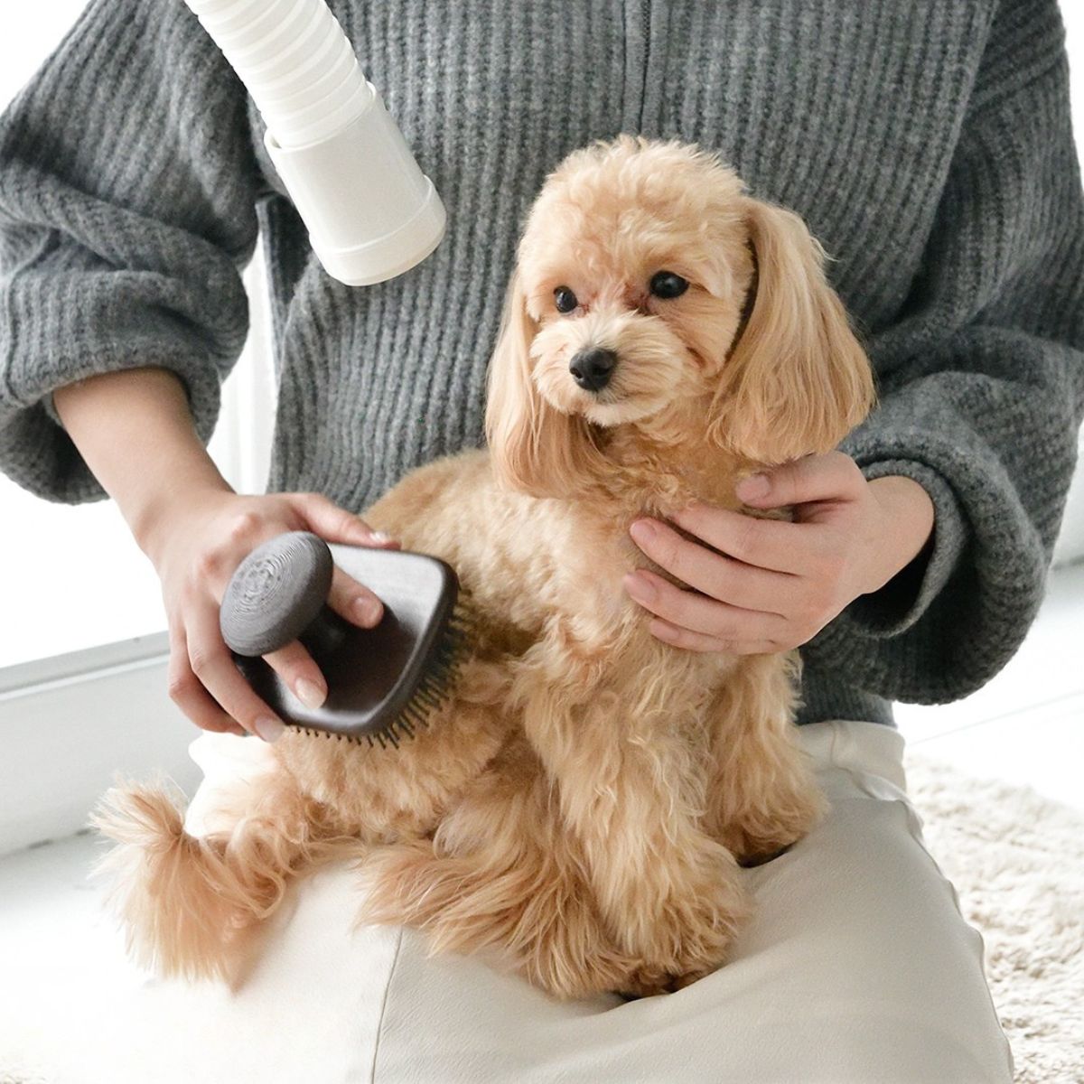 ルーヴドー ペット LOUVREDO PET 復元ブラシPET ブラウン