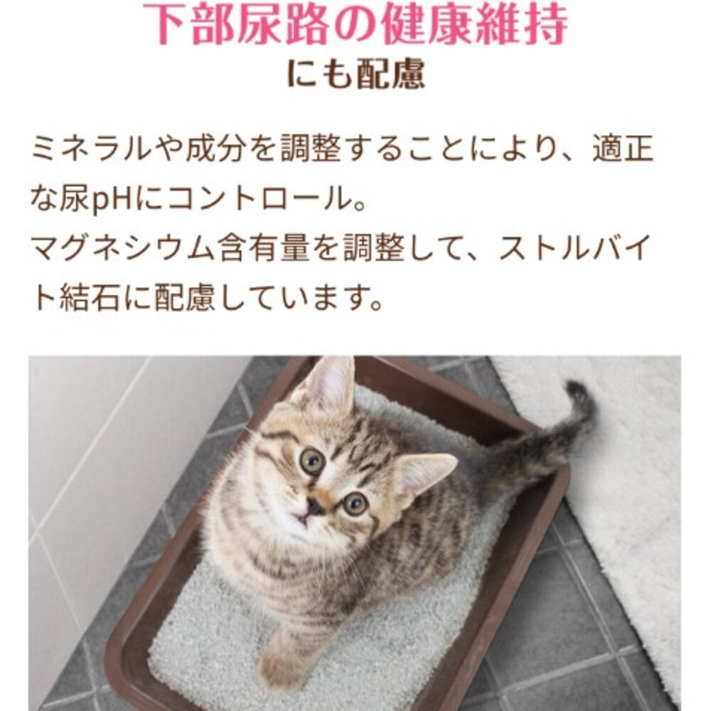 メディファス アドバンス キャットフード 関節・筋肉の健康維持 7歳頃から チキン味 1.15kg×6個セット【送料無料】 猫