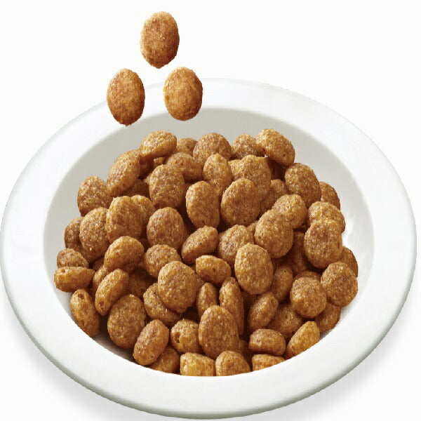 メディファス キャットフード 11歳から チキン味 1.5kg（250g×6） 猫