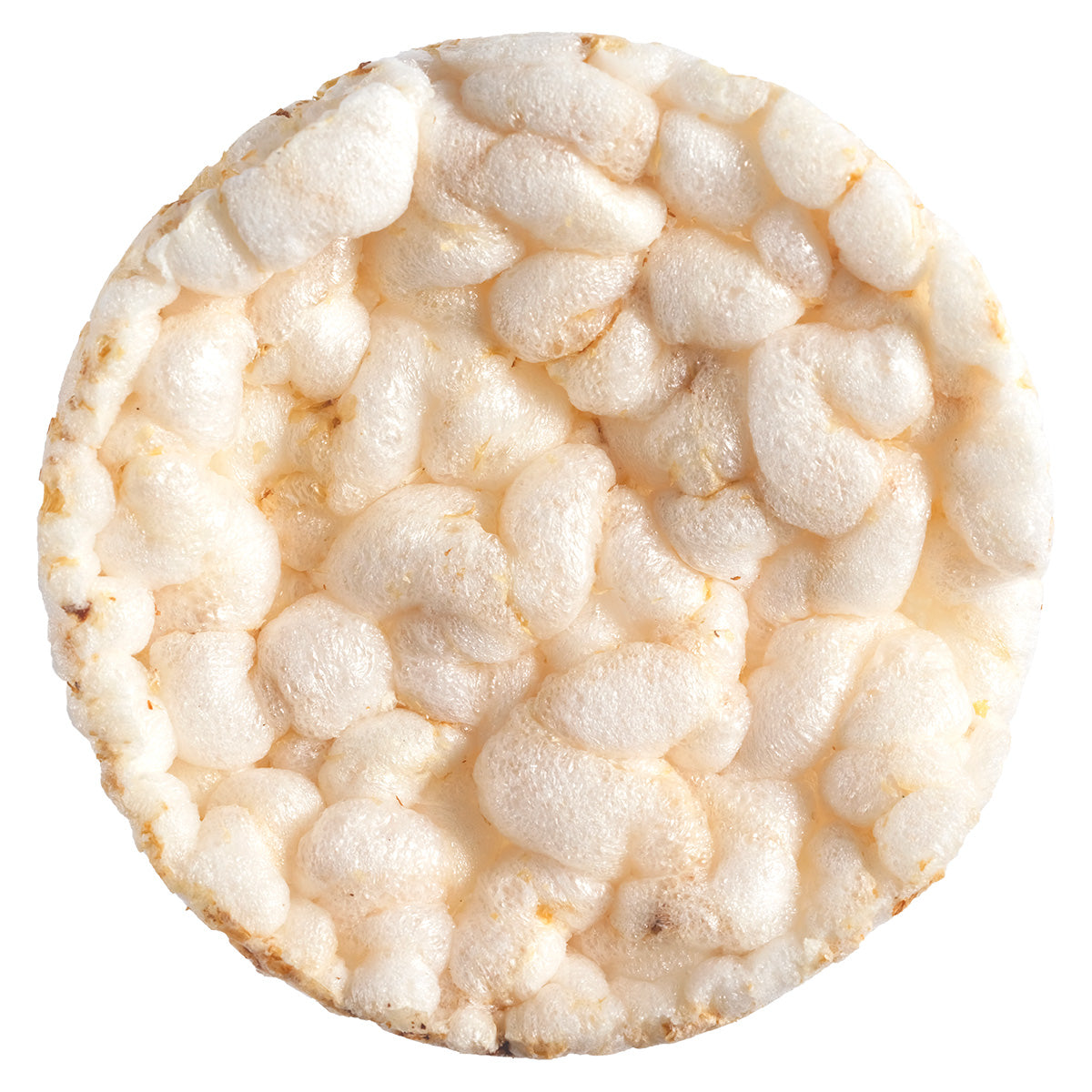 ペットの恵み365 有機玄米使用ぽんサクっ プレーン味 犬用おやつ 10g