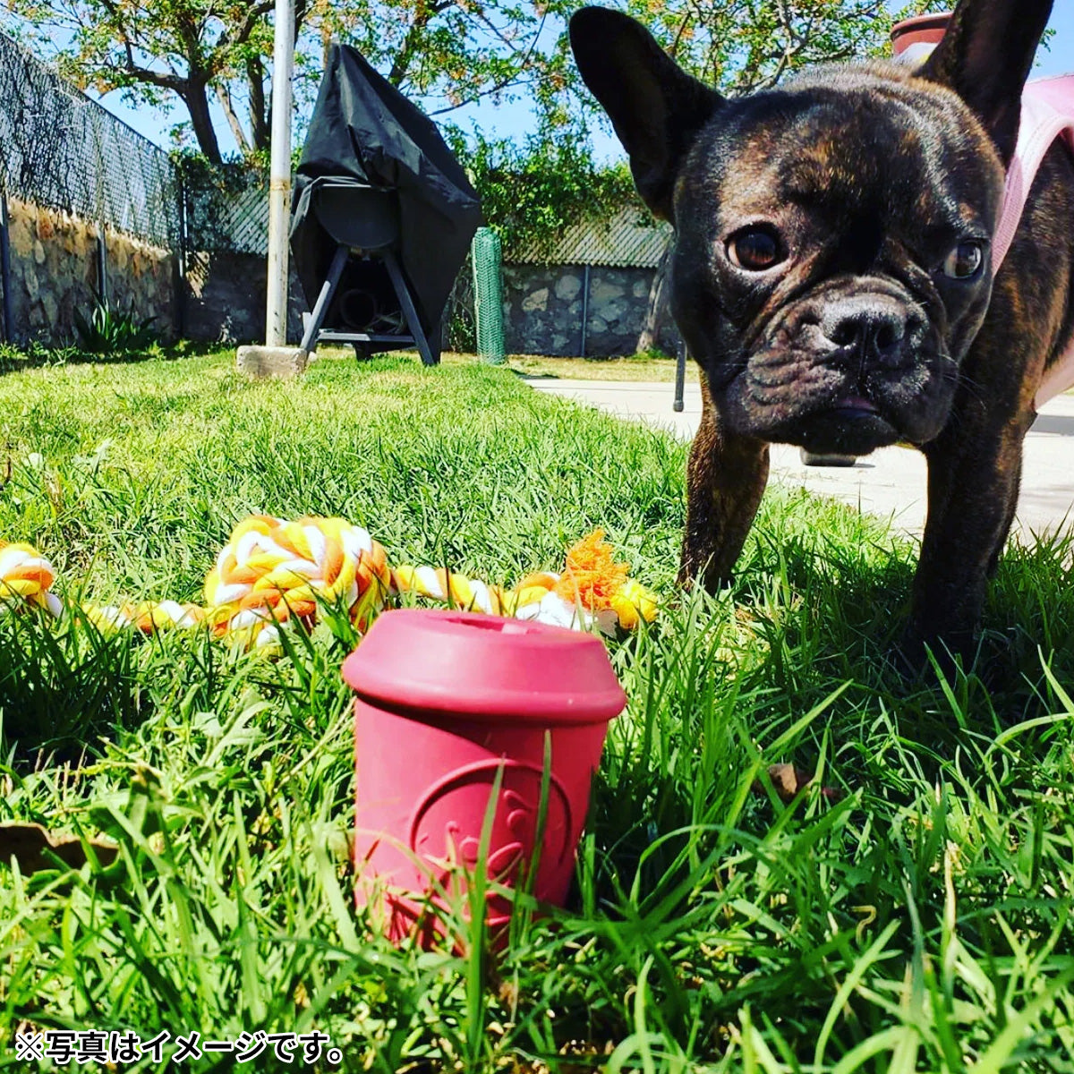 ソダパップ MKB チュートイ＆トリートディスペンサー コーヒーカップ L ピンク【送料無料】