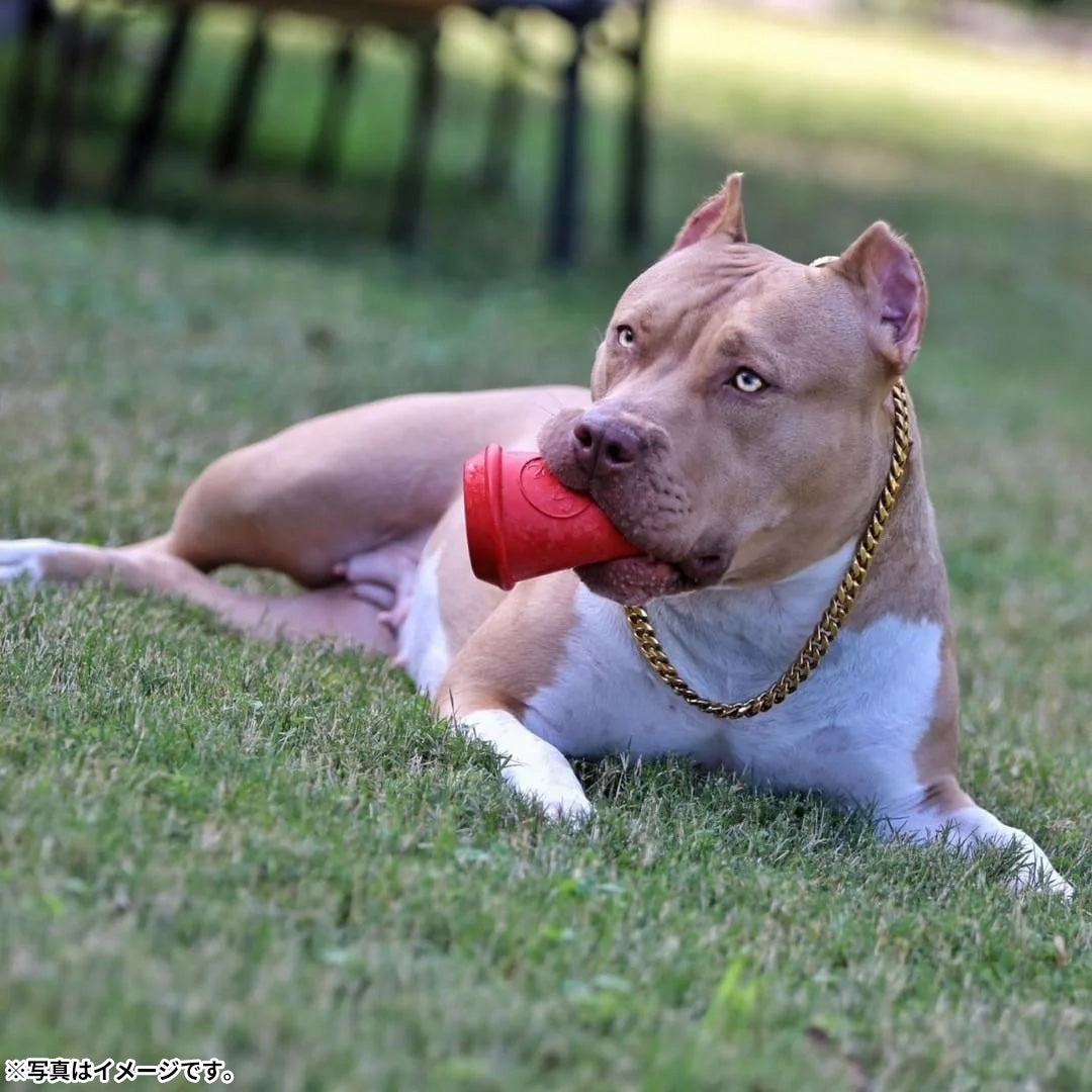 ソダパップ MKB チュートイ＆トリートディスペンサー コーヒーカップ L ピンク【送料無料】