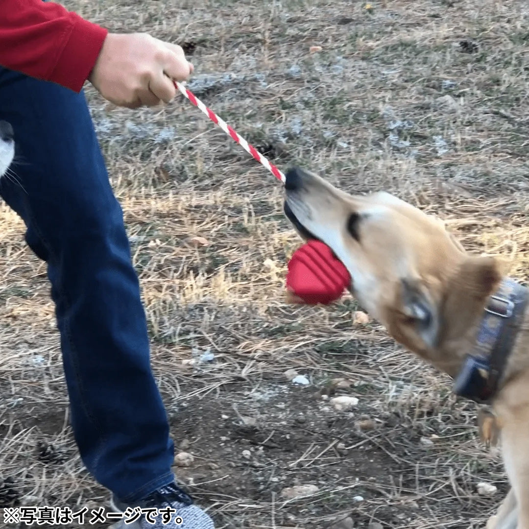 ソダパップ MKB タグトイ ウルトラダブル ハートオンアストリング【送料無料】