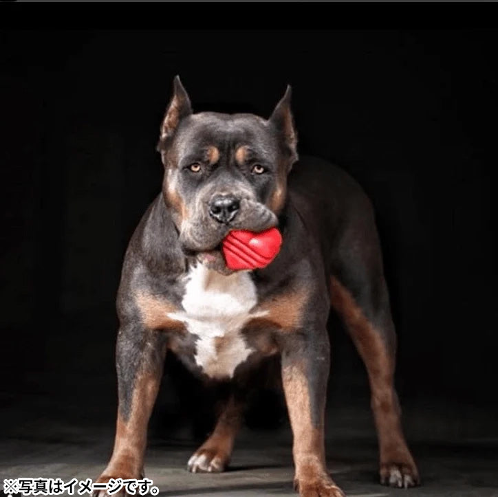 ソダパップ MKB タグトイ ウルトラダブル ハートオンアストリング【送料無料】