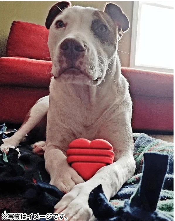 ソダパップ MKB タグトイ ウルトラダブル ハートオンアストリング【送料無料】