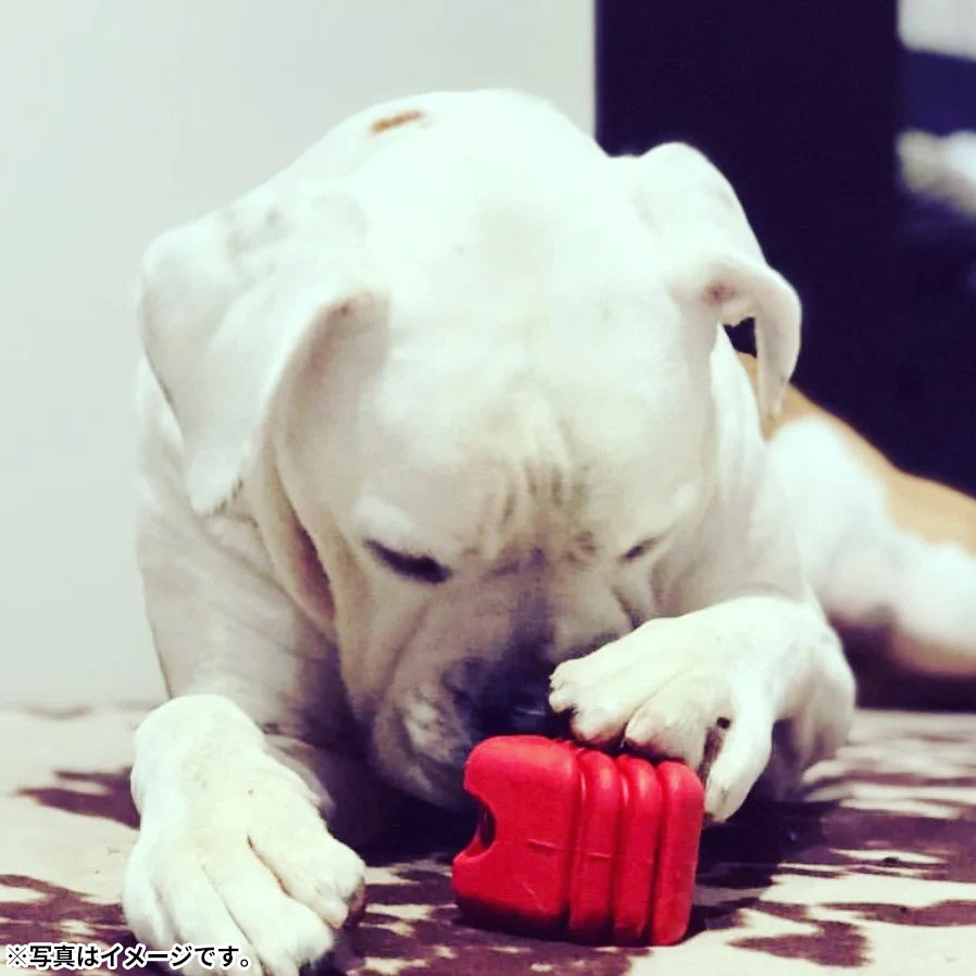 ソダパップ MKB タグトイ ウルトラダブル ハートオンアストリング【送料無料】