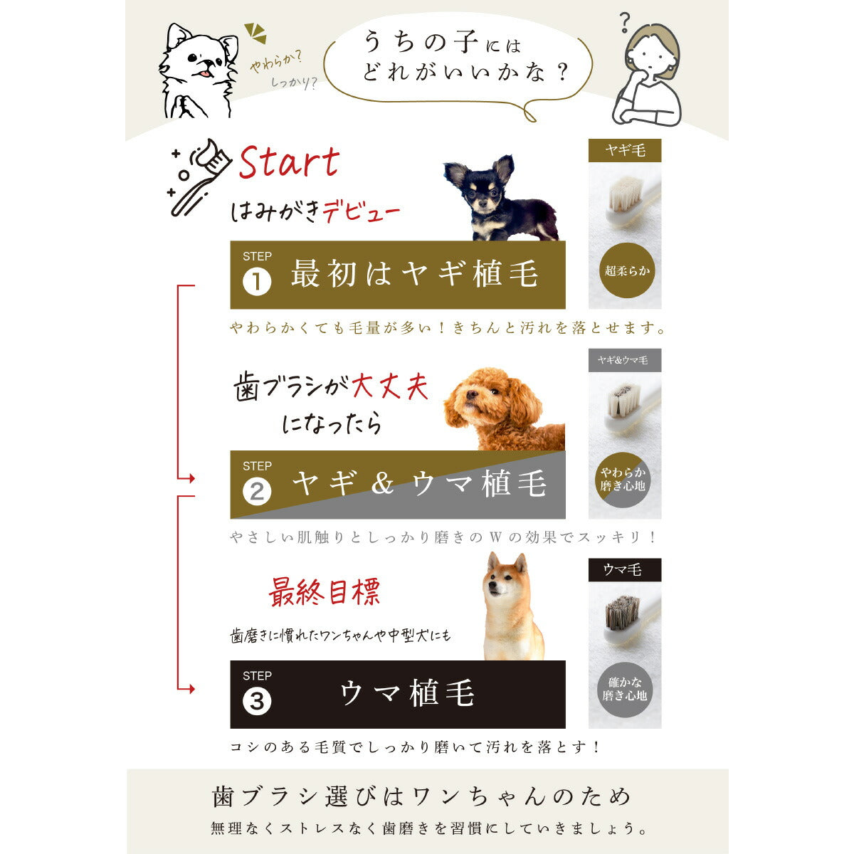 MIGAKENDE 柔らかい天然毛歯ブラシ ミガケンデ 柔らかいヤギ植毛 超柔らか 小型犬用