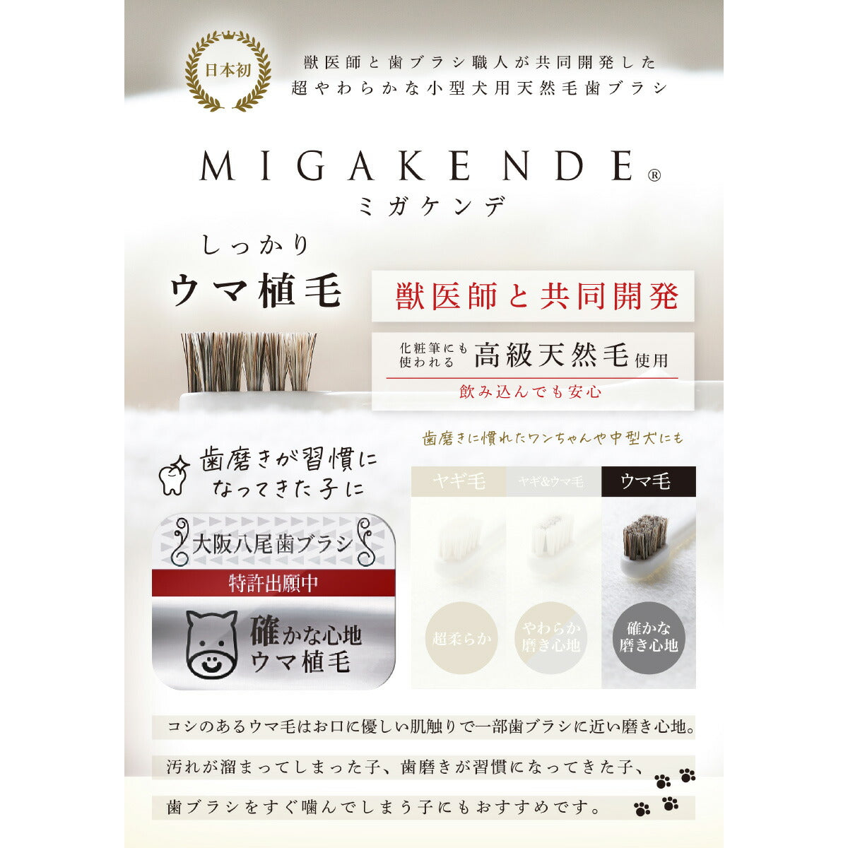 MIGAKENDE 柔らかい天然毛歯ブラシ ミガケンデ ウマ植毛 確かな磨き心地 小型犬用