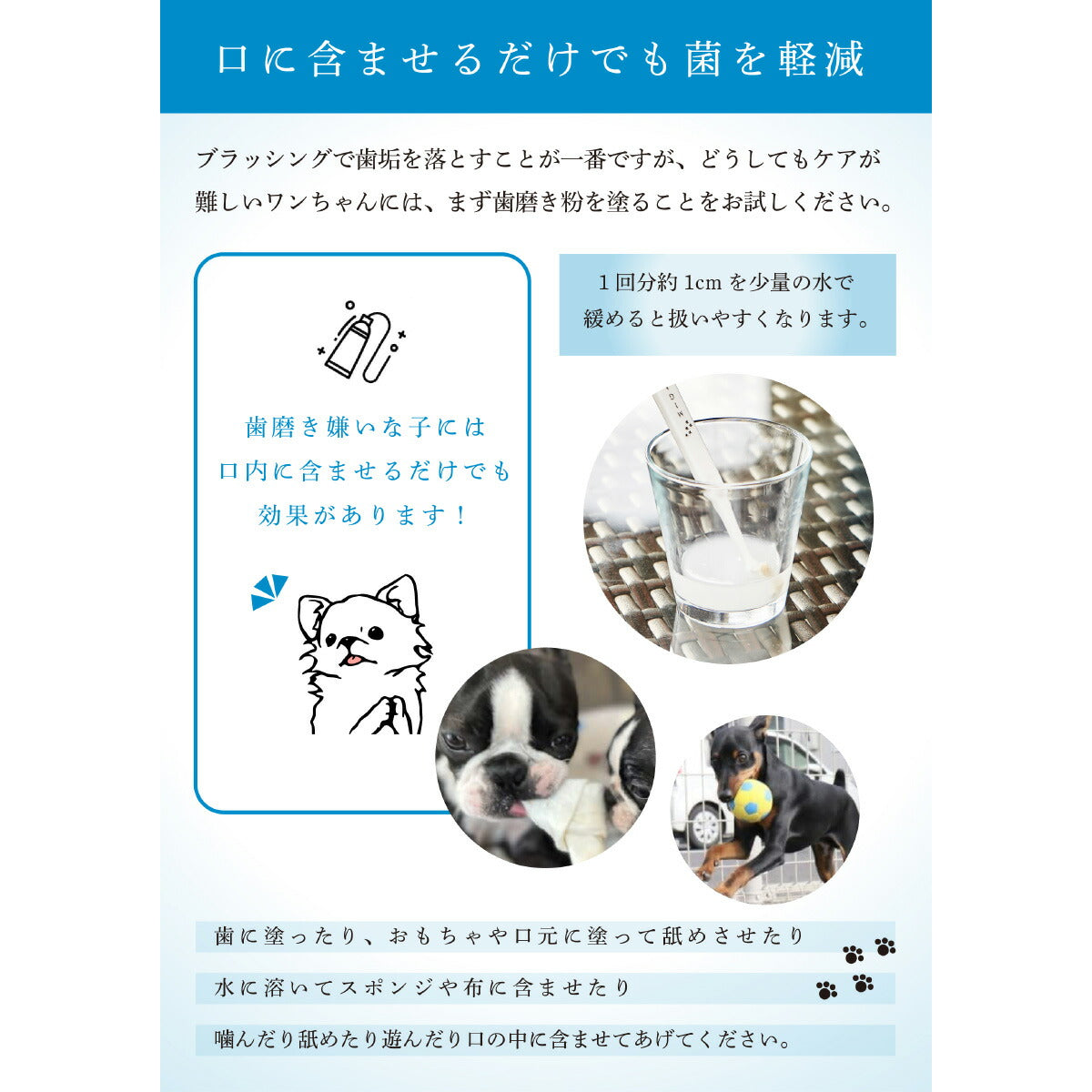 MIGAKENDE ミガケンデ 歯磨き粉 for DOG 犬用 20g