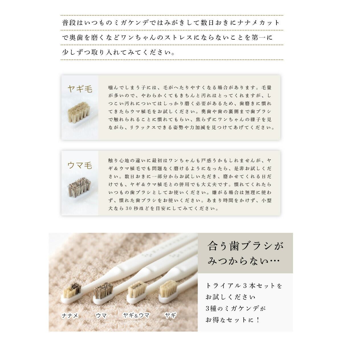 MIGAKENDE 柔らかい天然毛歯ブラシ ミガケンデ 斜めカット植毛（ヤギ＆ウマ） 小型犬用