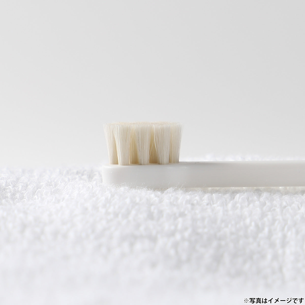 ミガケンデ MIGAKENDE 天然毛歯ブラシ ヤギ植毛 コンパクトヘッドタイプ