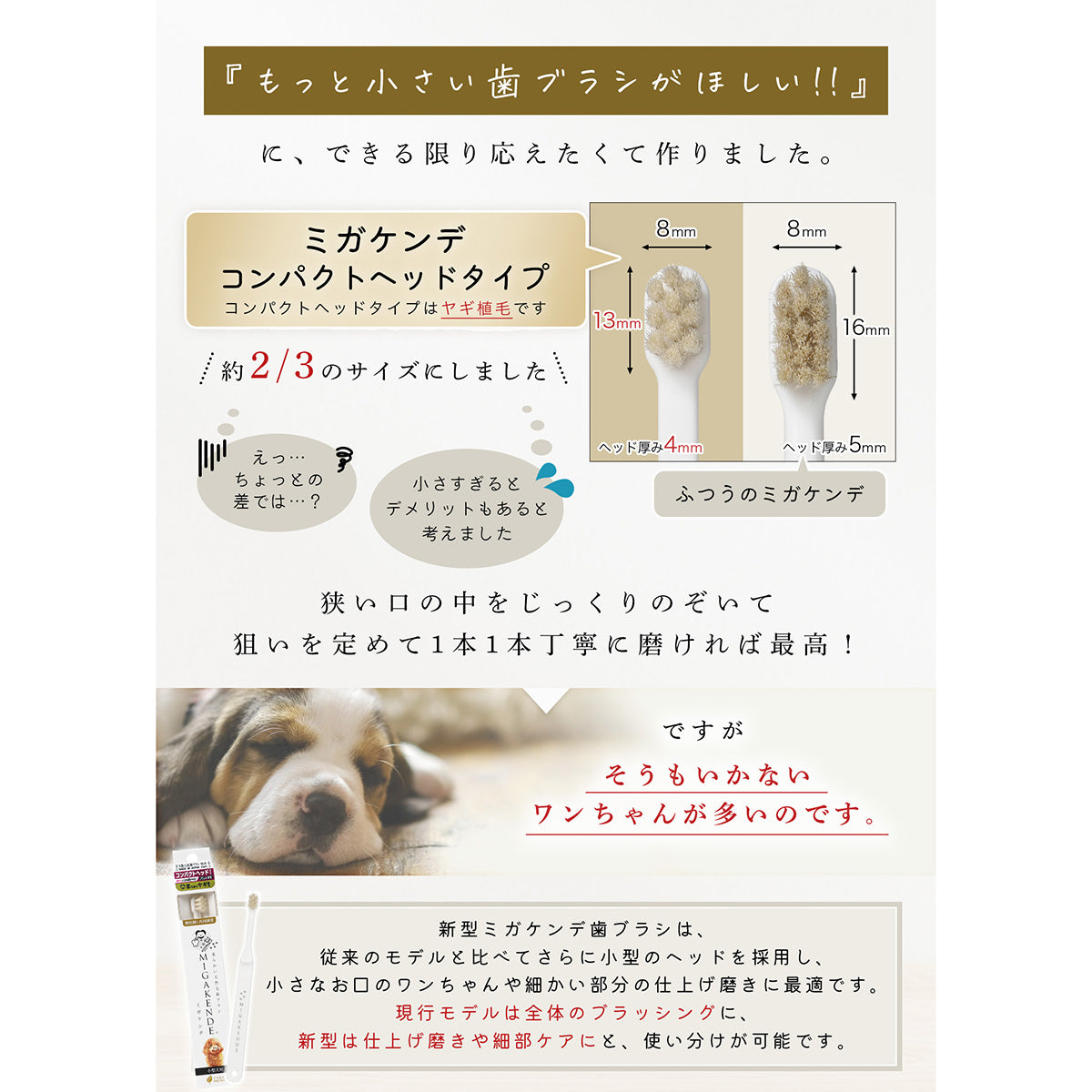 ミガケンデ MIGAKENDE 天然毛歯ブラシ ヤギ植毛 コンパクトヘッドタイプ