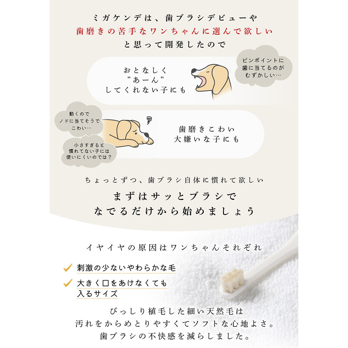 ミガケンデ MIGAKENDE 天然毛歯ブラシ ヤギ植毛 コンパクトヘッドタイプ
