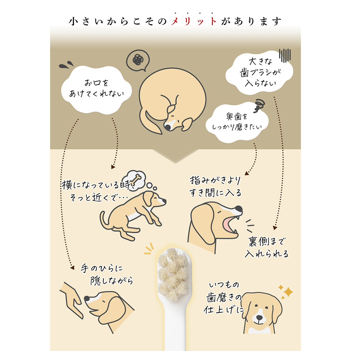 ミガケンデ MIGAKENDE 天然毛歯ブラシ ヤギ植毛 コンパクトヘッドタイプ