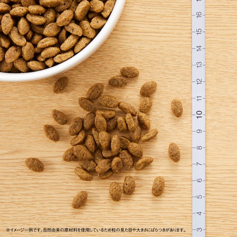 ニュートロ ナチュラル チョイス キャット 穀物フリー アダルト チキン 2kg 無添加 グレインフリー 穀物不使用