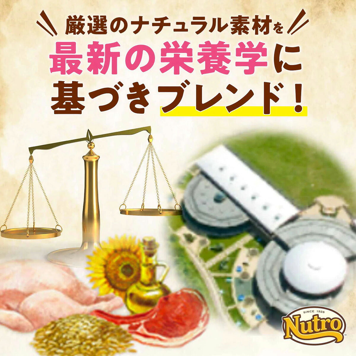ニュートロ Nutro ナチュラルチョイス Natural Choice キャットフード 穀物フリー アダルト サーモン 400g 無添加 天然 ナチュラルフード