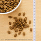 ニュートロ Nutro ナチュラルチョイス Natural Choice キャットフード 穀物フリー アダルト ダック 400g