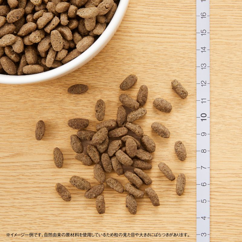 ニュートロ ナチュラルチョイス キャットフード 室内猫用 アダルト チキン 2kg×8袋セット 無添加 猫 ペットグッズ ペット用品