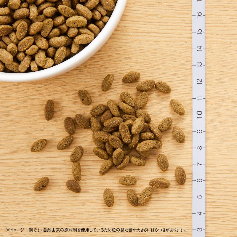 ニュートロ ナチュラルチョイス キャットフード 室内猫用 エイジングケア チキン 500g 無添加 猫 ねこグッズ ペットグッズ ペット用品