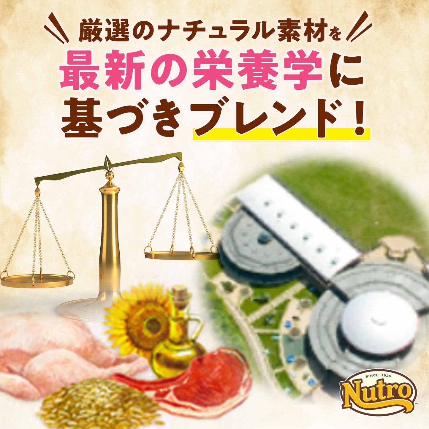 ニュートロ ナチュラルチョイス キャットフード 室内猫用 エイジングケア チキン 500g 無添加 猫 ねこグッズ ペットグッズ ペット用品
