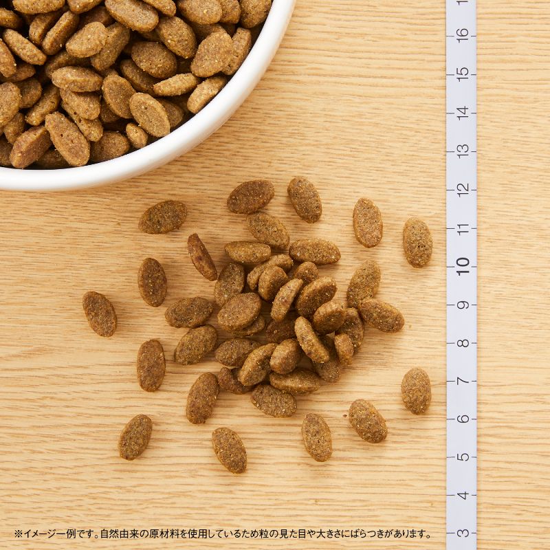 ニュートロ ナチュラルチョイス キャットフード 室内猫用 アダルト ターキー 2kg×8袋セット 無添加 猫 ねこグッズ ペットグッズ ペット用品
