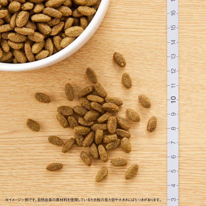 ニュートロ ナチュラルチョイス キャットフード 避妊 去勢猫用 アダルト 白身魚 500g 無添加 猫 ペットグッズ ペット用品