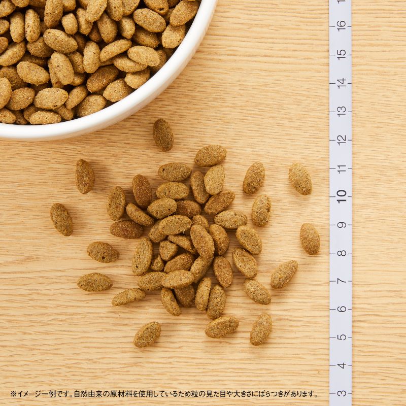 ニュートロ ナチュラルチョイス キャットフード 減量用 アダルト チキン 500g 無添加 ナチュラル プレミアム 猫用品/ねこグッズ