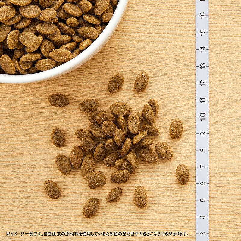 ニュートロ ナチュラルチョイス キャットフード 穀物フリー アダルト ダック 500g 無添加 猫ペット用品