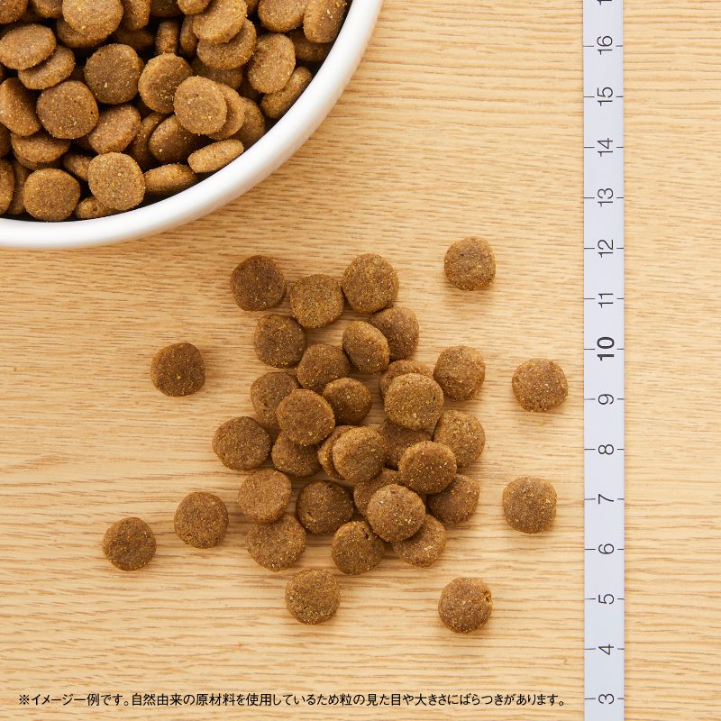 ニュートロ ナチュラルチョイス キャットフード 食にこだわる猫用 アダルト チキン 500g 無添加 猫 ねこグッズ ペットグッズ ペット用品