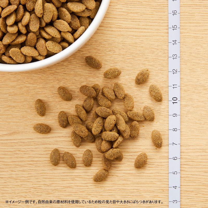 ニュートロ ナチュラルチョイス キャットフード 毛玉トータルケア アダルト チキン 500g 無添加 猫 ペットグッズ ペット用品