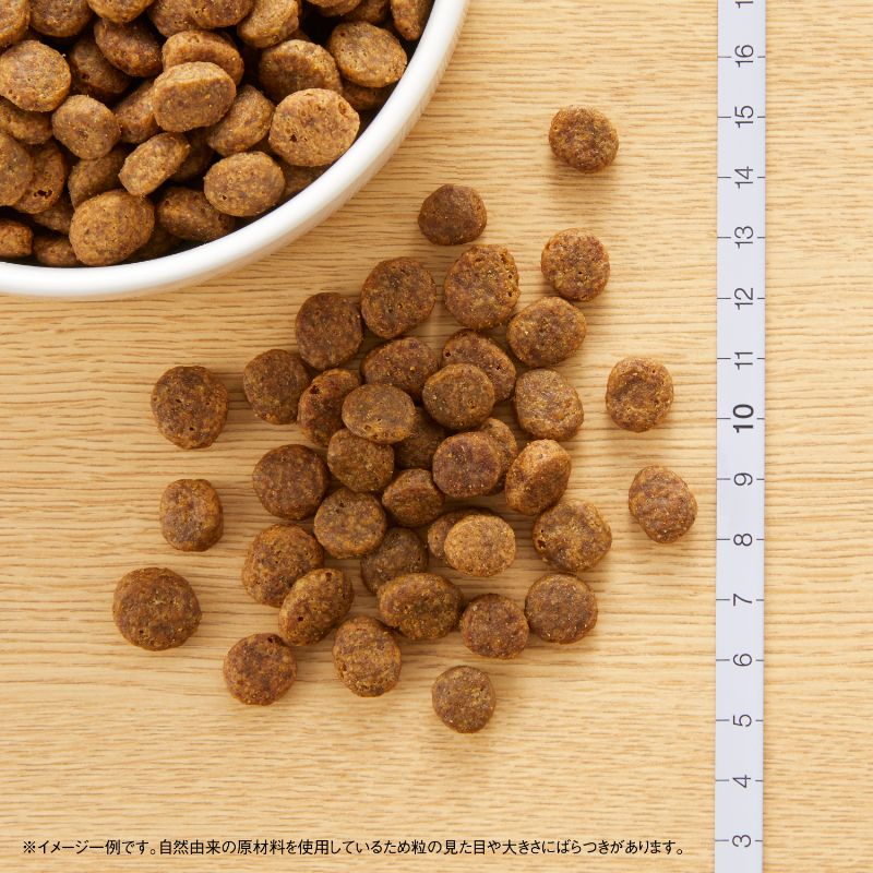 ニュートロ ナチュラルチョイス ドッグフード フィッシュ＆ポテト 全犬種用 成犬用 1kg 無添加 Nutro NATURAL CHOICE