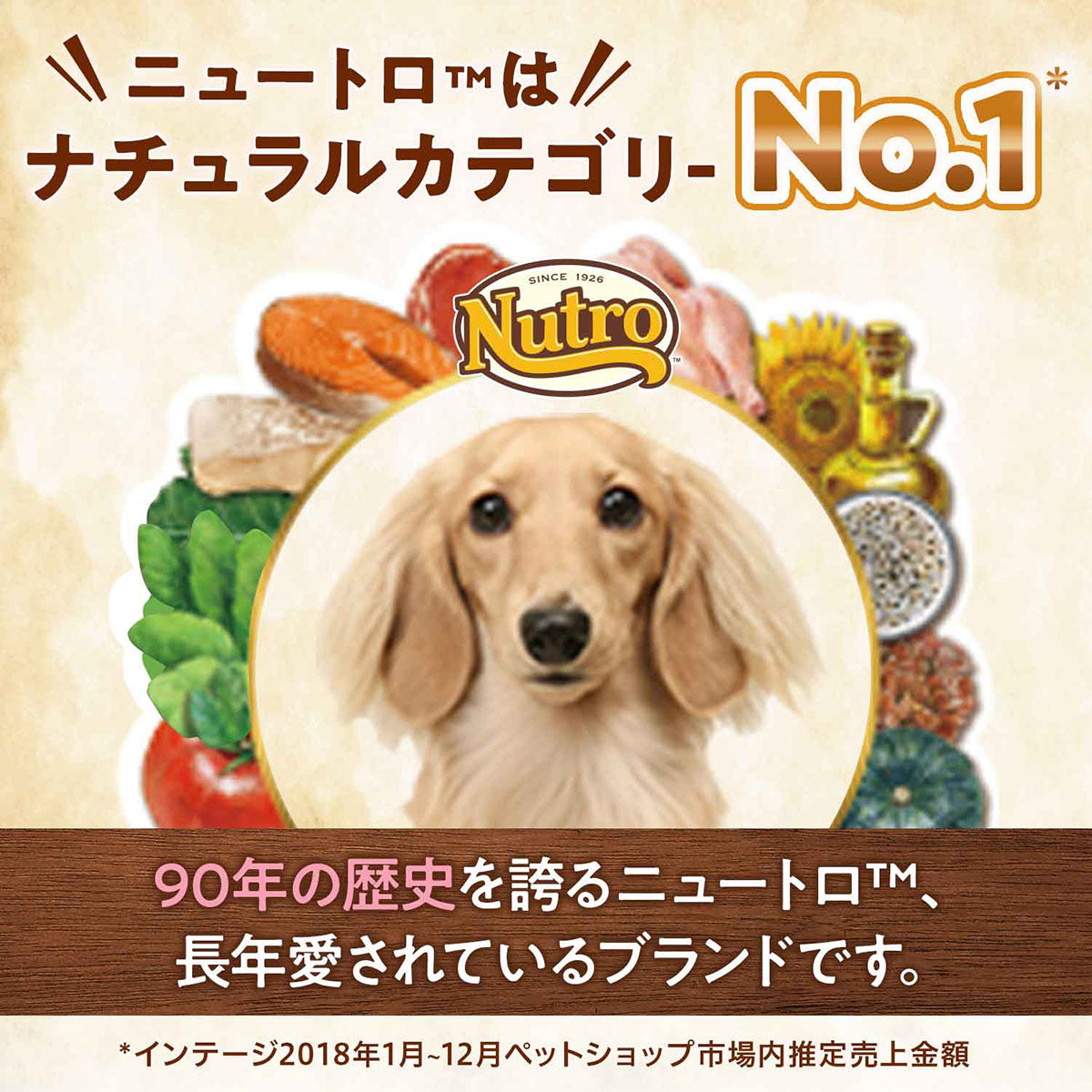 ニュートロ ナチュラルチョイス ドッグフード フィッシュ＆ポテト 全犬種用 成犬用 6kg【送料無料】 無添加 Nutro NATURAL CHOICE