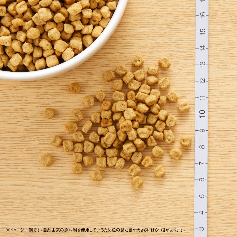 ニュートロ ナチュラルチョイス ドッグフード 避妊 去勢犬用 エイジングケア チキン＆玄米 6kg 無添加 送料無料 [NC-SE]