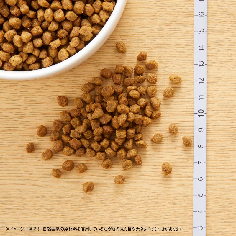 ニュートロ ナチュラルチョイス ドッグフード 超小型犬用 成犬用 チキン＆玄米 2kg 無添加 犬用品ペット用品 [NC-AD]
