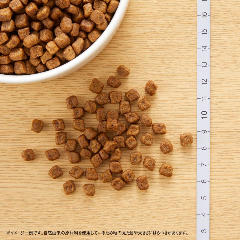 ニュートロ ナチュラルチョイス ドッグフード 子犬用 超小型犬～中型犬 チキン＆玄米 1kg 無添加