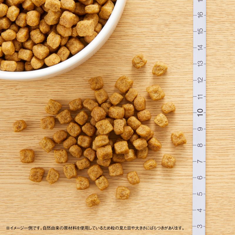 ニュートロ ナチュラルチョイス ドッグフード 小型犬 エイジングケア チキン＆玄米 6kg シニア 高齢 無添加 犬[NC-SE]
