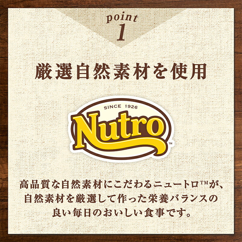 ニュートロ キャット デイリー ディッシュ アダルト チキン＆ツナ グルメ仕立てのざく切りタイプ パウチ 12個セット 猫 無添加 ウェットフード 成猫