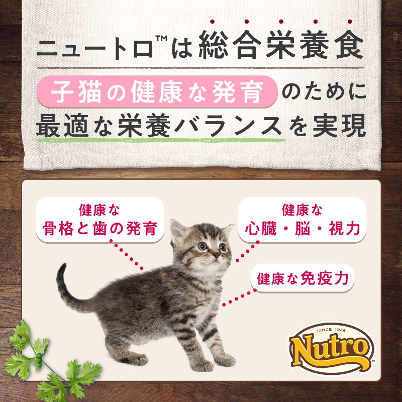ニュートロ キャットフード ウェット デイリーディッシュ 子猫 チキン ムースパウチ 35g×12個