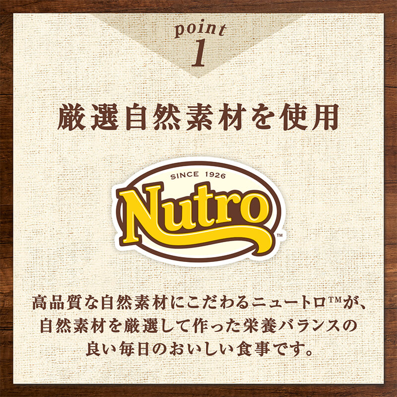 ニュートロ キャットフード ウェット デイリーディッシュ シニア猫 チキン ペーストパウチ 35g×24個