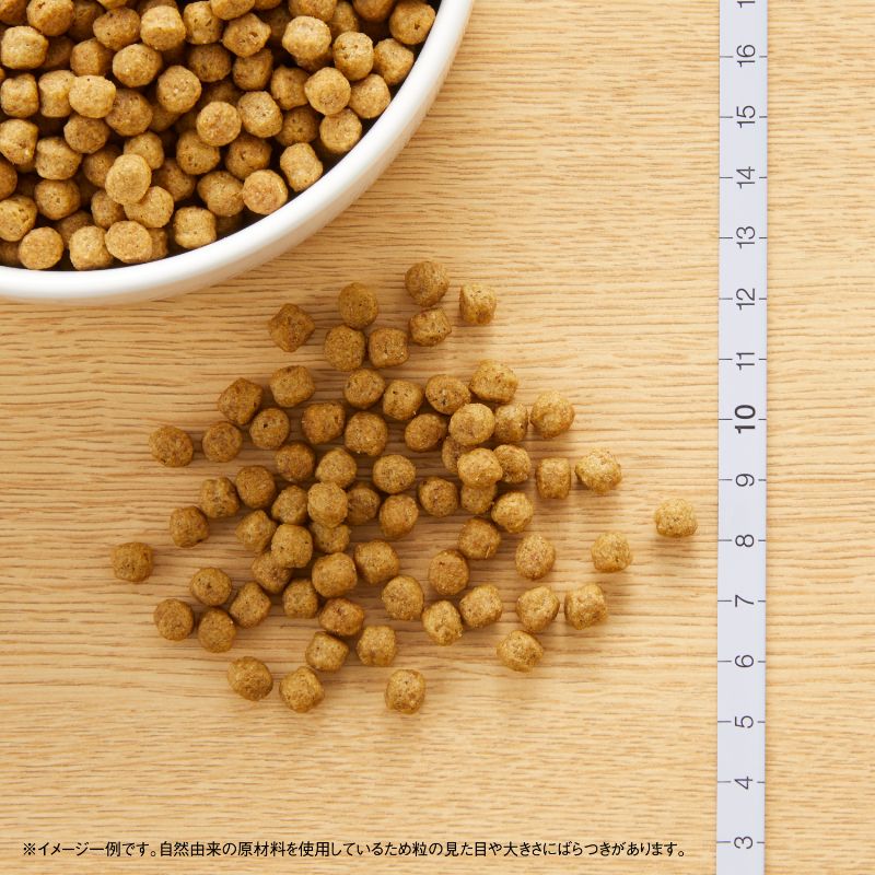 ニュートロ ナチュラルチョイス ドッグフード ラム＆玄米 超小型犬～小型犬 エイジングケア 1kg シニア 高齢 無添加 犬 ペットグッズ [NC-SE]