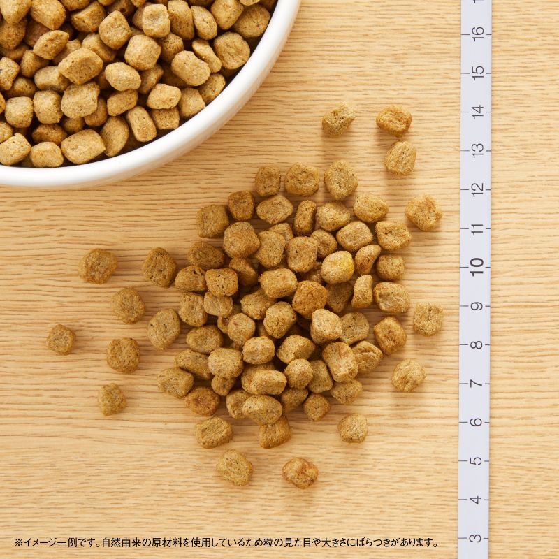 ニュートロ ナチュラルチョイス ドッグフード 減量用 超小型犬～小型犬用 成犬用 チキン＆玄米 3kg 無添加[NC-WT]