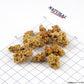 ナチュラルハーベスト NaturalHarvest 国産 北海道クリスプ 秋鮭 犬用おやつ 20g